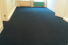 Kantoor tapijt